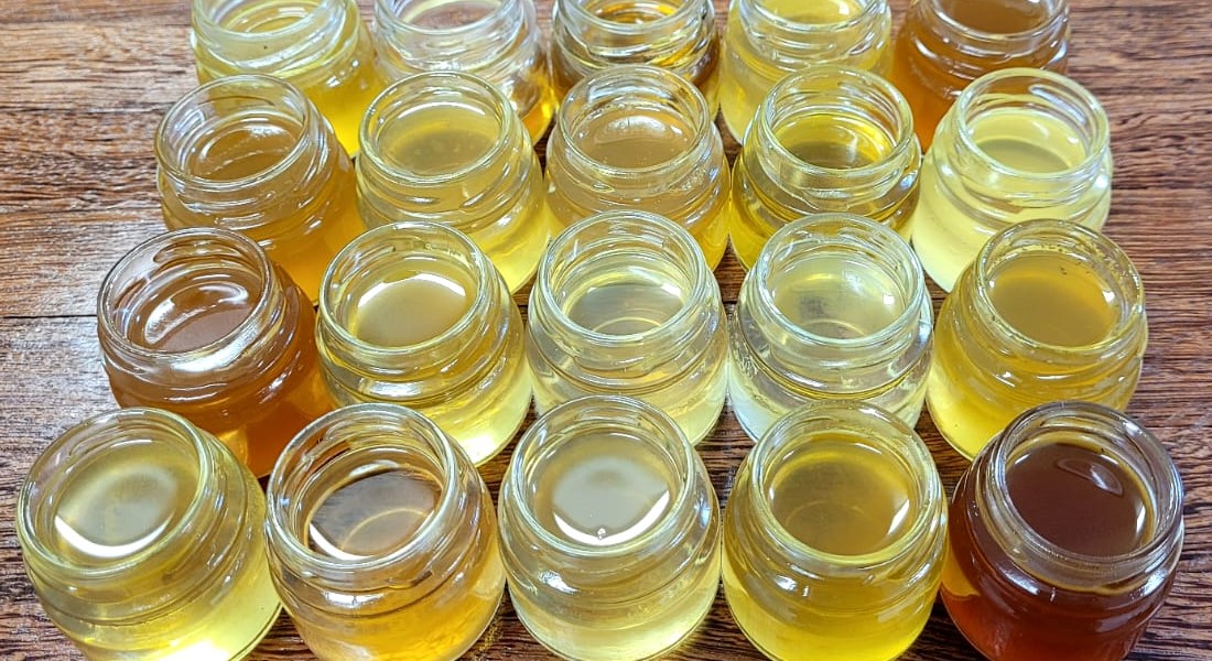 Geração de Renda e Valorização da Sociobiodiversidade